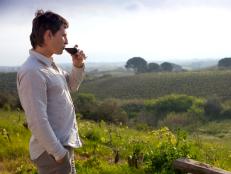 Take a wine tasting tour of Croatia's wonderful wine country.