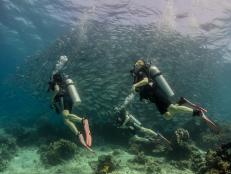 The Lost Girls explore life underwater in Borneo.