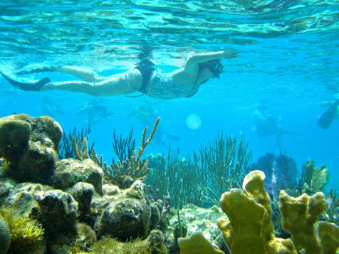 Underwater Paradise: Best Islands for Snorkeling