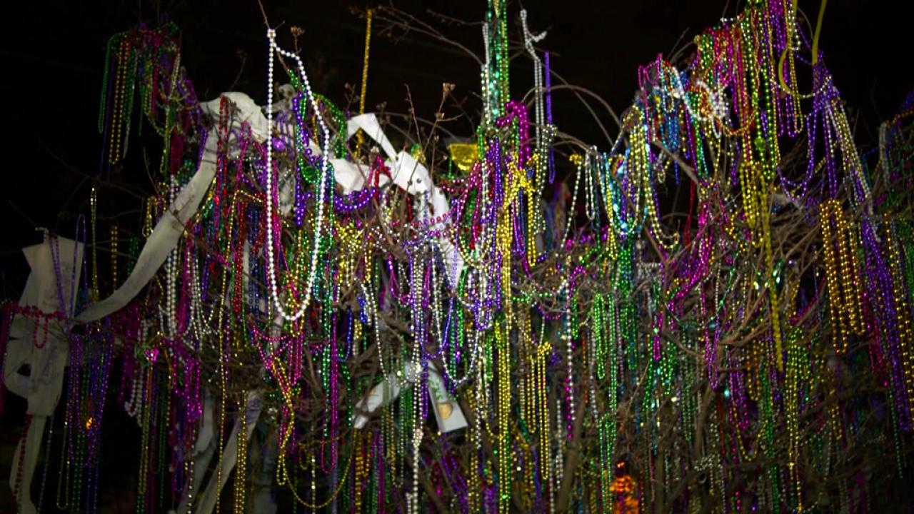 New Orleans Bead Tree – Vino & Van Gogh