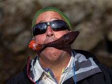 Andrew Zimmern holds a sea cucumber in Alaska