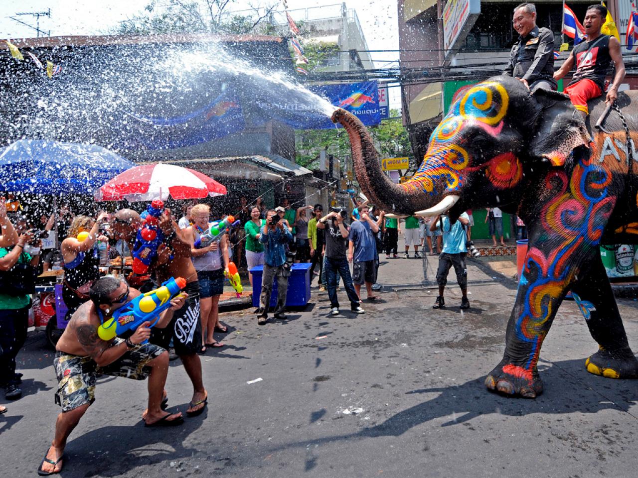 Need a Guide to the best spring festivals across the globe? Check out these awesome celebrations you cannot miss.