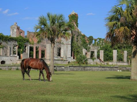 Cumberland Island, Georgia