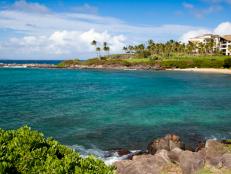 Kapalua Beach is a gem of golden sand bounded by swaying palm trees.