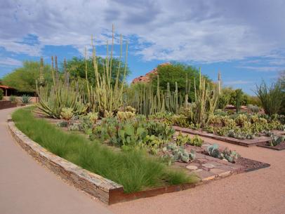 Best Botanical Gardens In The Us Our Picks For The Best