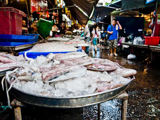 Photo by Flickr user Mark Fischerhttp://www.flickr.com/photos/fischerfotos/7454699884/A tray full of squid sits on ice in the Klong Toey Market in Bangkok, Thailand.  This "wet" market sells a wide variety of fruits, vegetables, and meat to residents and restaurant owners from around Bangkok.