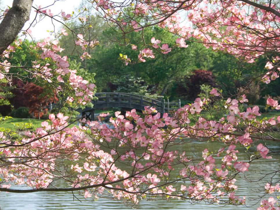 Missouri Botanical Garden, St. Louis