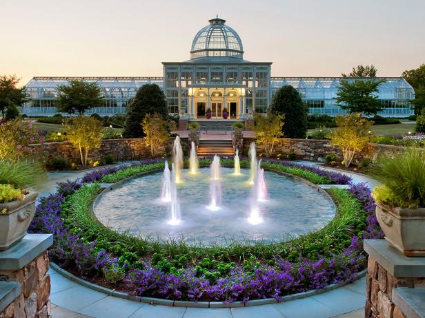 Southern Traditions of Night Blooms & Bloom Parties - Lewis Ginter  Botanical Garden