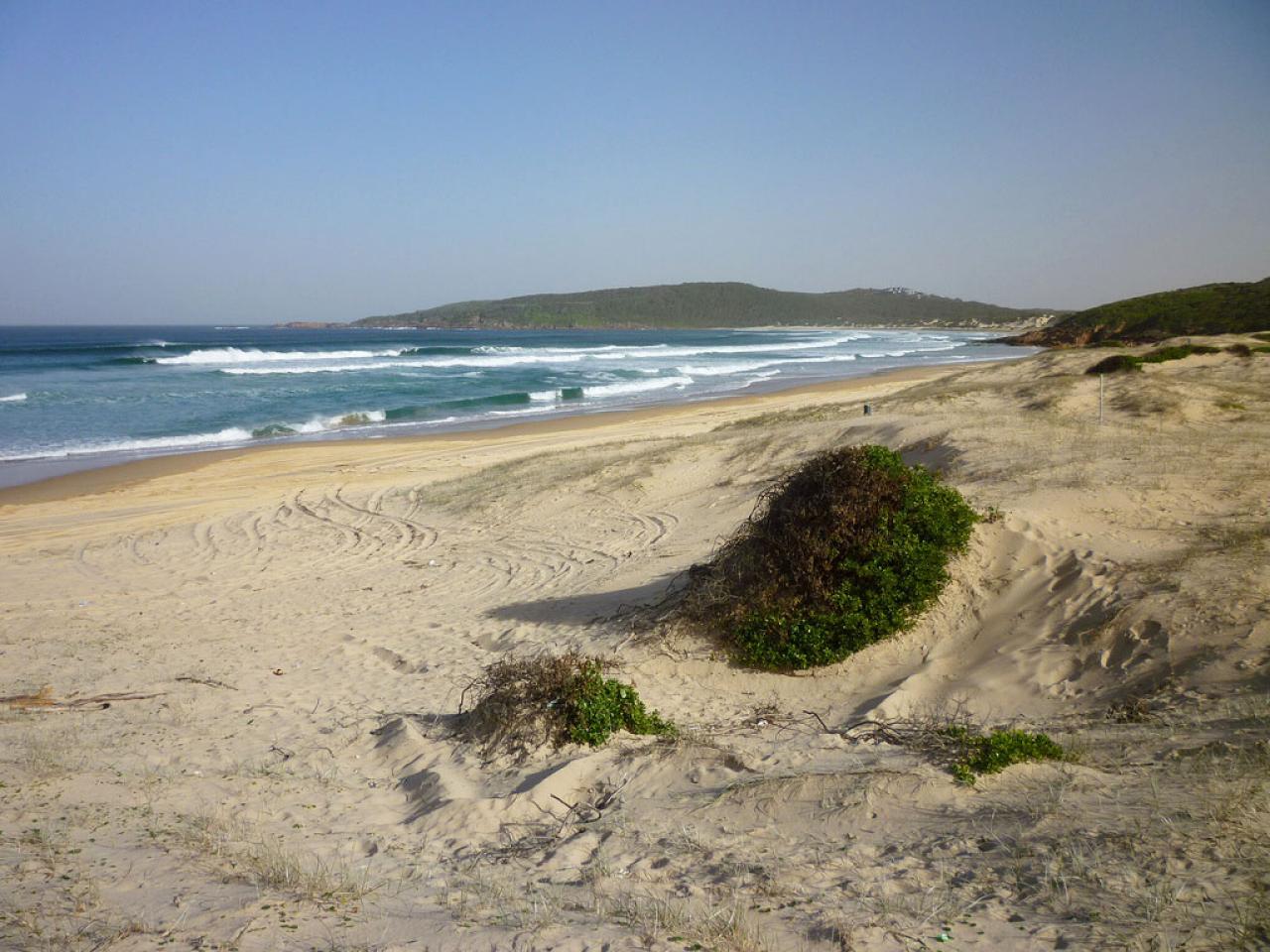 Little Irish Girl Nude Beach