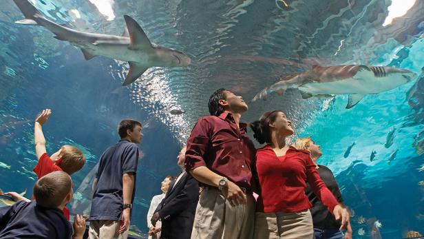 Best Us Aquariums Travelchannel Com Travel Channel