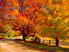 Check out our favorite fall foliage road trips.