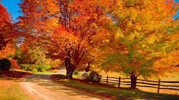 Travel's Best Fall Foliage Road Trips 2013 : Travel's Best : Travel ...