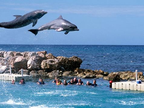 Kid-Friendly Jamaica