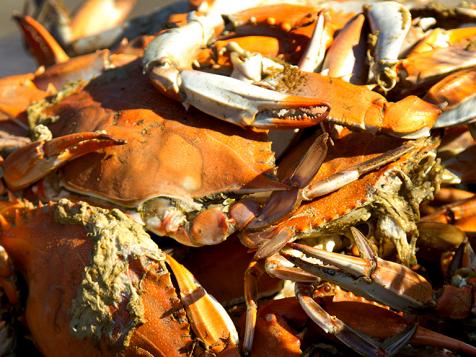 Crab, Crayfish and Andouille Gumbo