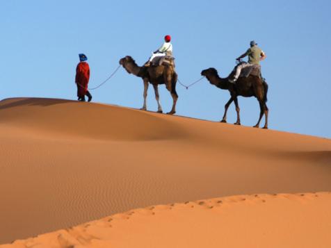 Thrilling Morocco Tours