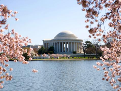 10 Photos of Cherry Blossoms That Will Give You Spring Fever