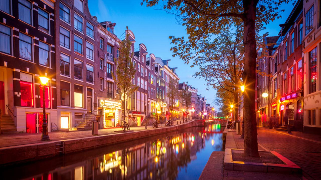 Stereotype Adelaide Almindeligt Amsterdam's Red Light District Revealed : Amsterdam : Travel Channel |  Amsterdam | Travel Channel