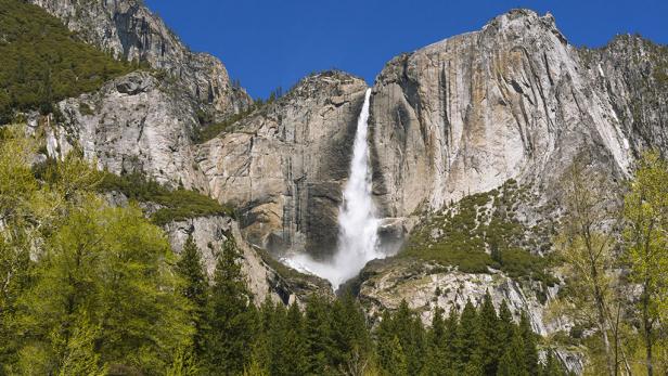 Earth Day (Yosemite)