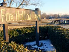 Fox Hollow Farm
