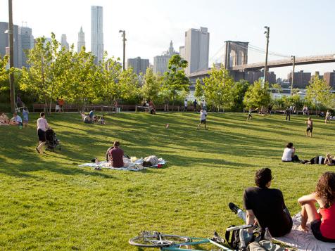 Beyond Central Park: NYC's Green Spaces