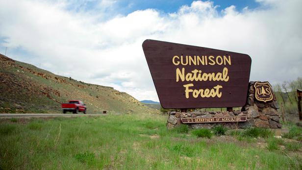 Gunnison National Forest
