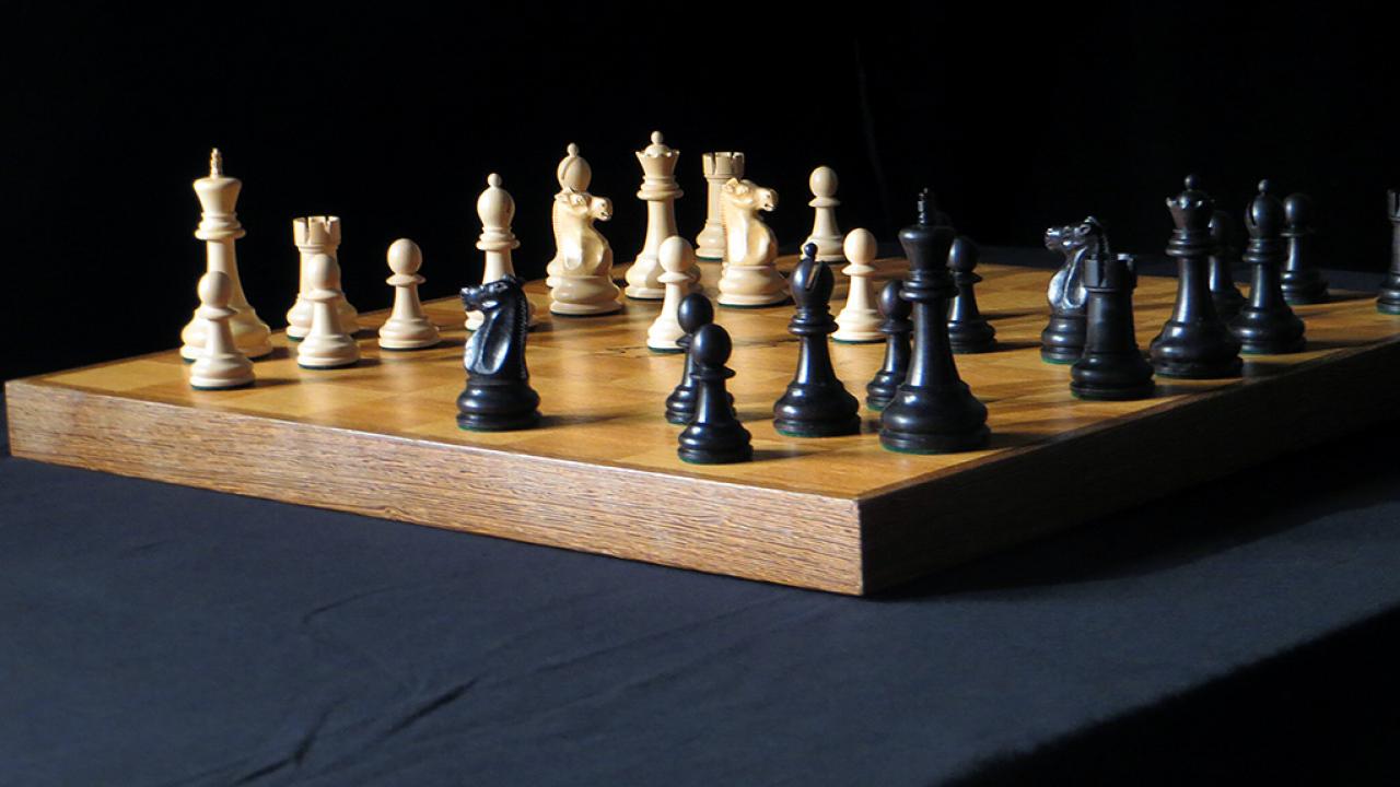 Checkmate - Into the wild world of chess