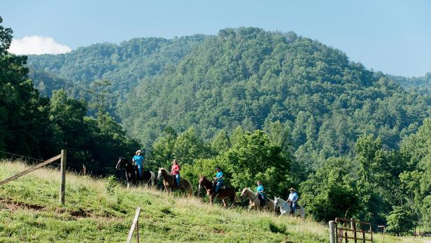 Horseback Riding Townsend Tennessee