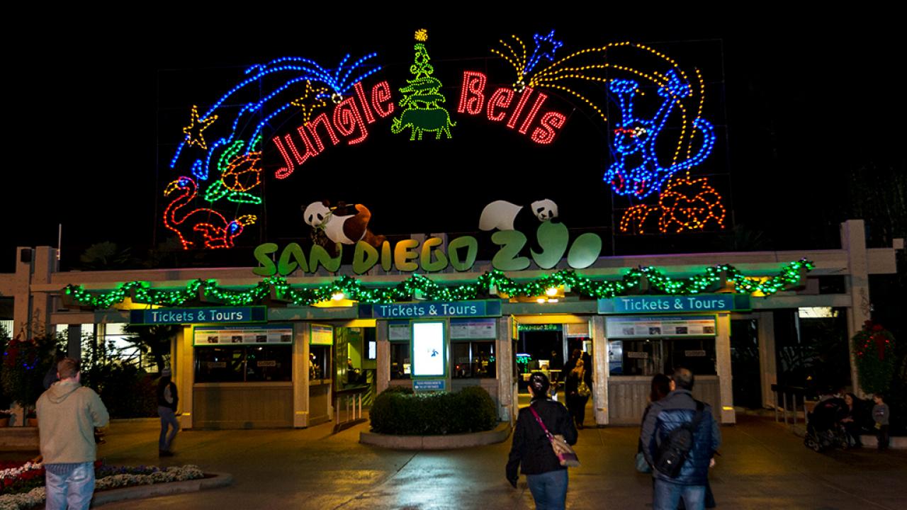 JOURNEY to JUNGLE BELLS at the SAN DIEGO ZOO - Limited Time Christmas &  Holiday Nighttime Event 