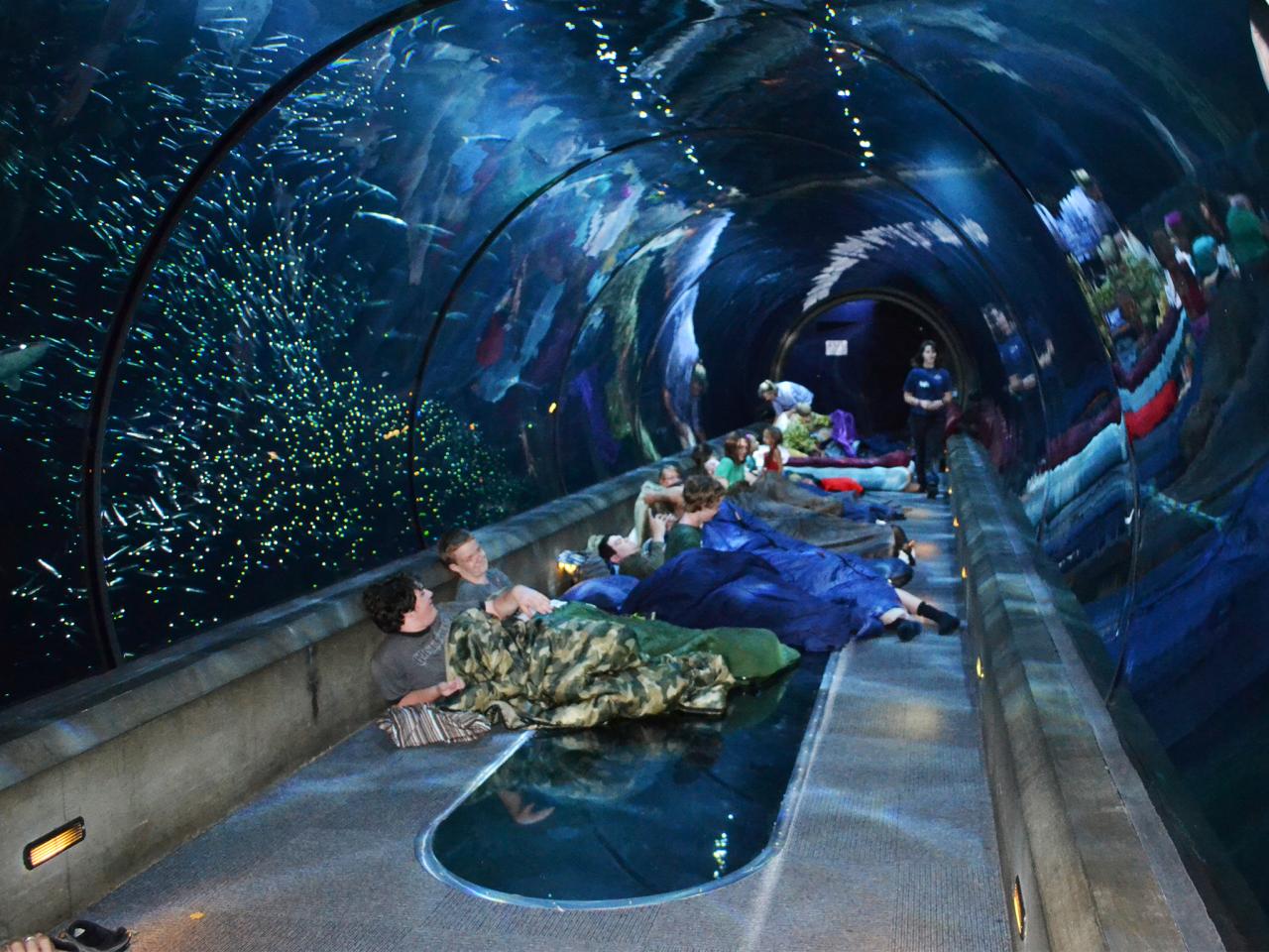 The 23 Best Aquariums in the U.S. - PureWow