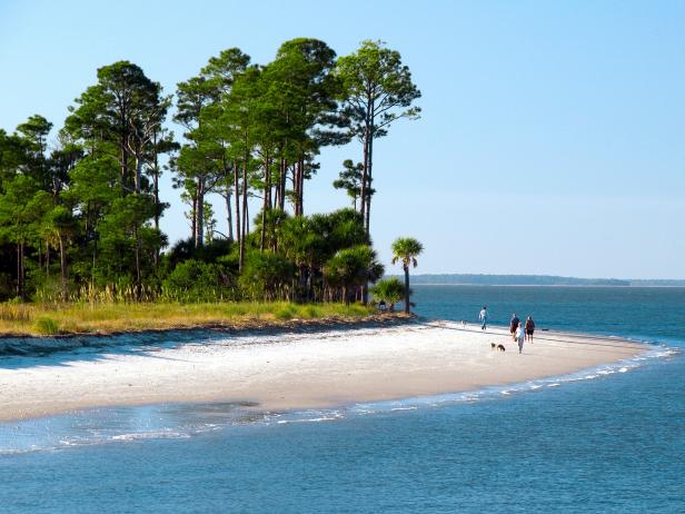 View of Secluded Shore in Hilton Head, South Carolina