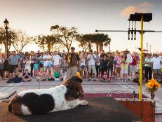 <p>Find out Travel Channel's picks for the most pet-friendly towns.</p>