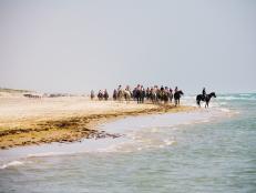 horseback riding, beach, south padre island, texas