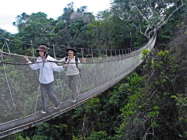 amazon, explorama lodges, amazon river, canopy walkway, peru