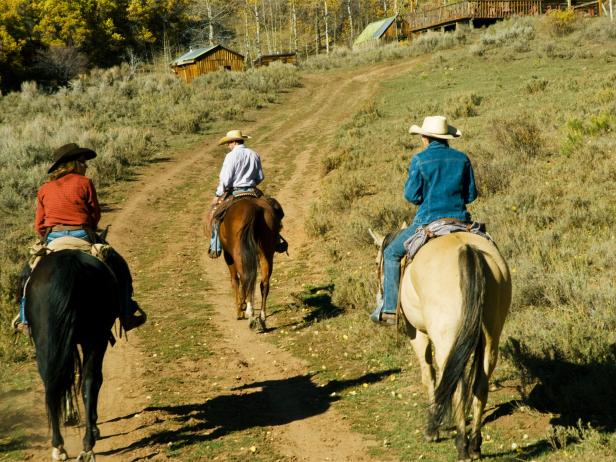 home ranch, horseback riding, clark, colorado