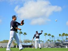 Are you a fan of Major League Baseball? Head to Florida for a spring-training-themed vacation and watch your favorite teams play ball!