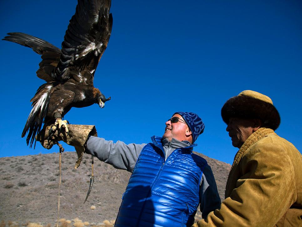 Hunting with Golden Eagles