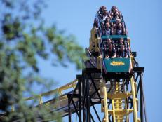 Beckoning families year after year, Busch Gardens and Kings Dominion are two of the world's most spectacular theme parks.