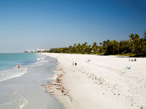 gulf coast, shoreline, naples beach, florida