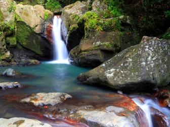 el yunque national park, waterfall, hidden grotto, shaded, trees, colorful rocks