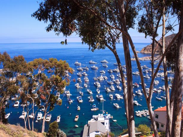 Catalina Island, sailing, boats, Los Angeles, California