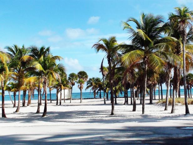 Crandon Park, Key Biscayne, Florida