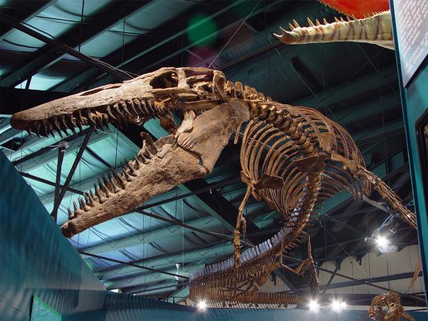 America's Best Dinosaur Exhibits : TravelChannel.com ...