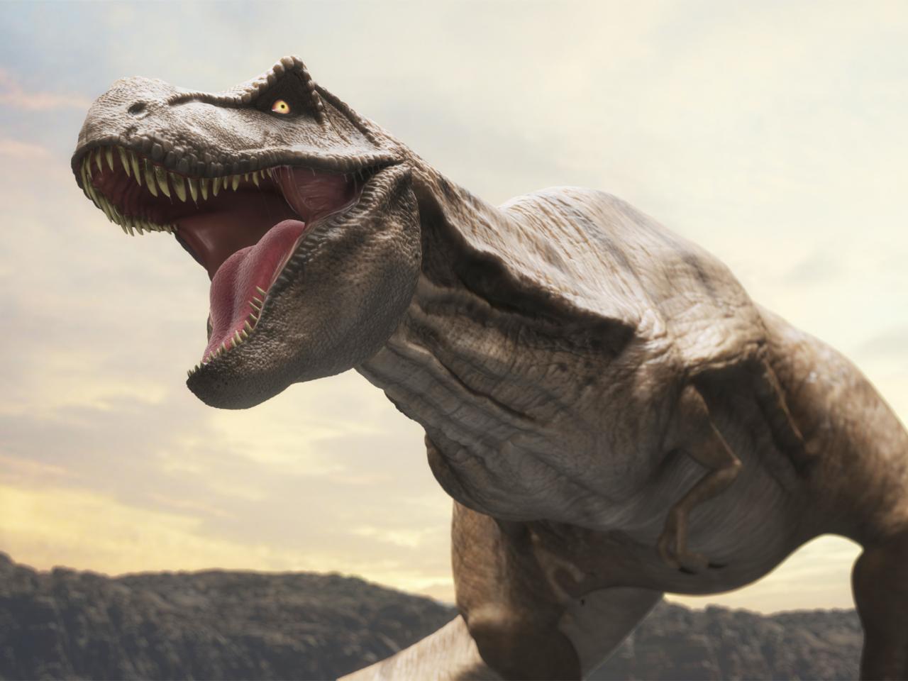 America's Best Dinosaur Exhibits : TravelChannel.com | Travel Channel