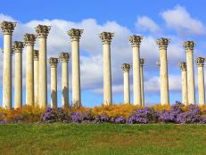 National Arboretum, columns, Washington, DC