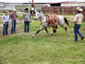 three men, cowboy outfits, horse, ranch, texas