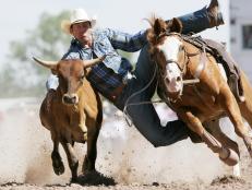 <p>What you should know about this epic, 10-day bonanza along with other fun things to do in Cheyenne, WY.<br>
</p>