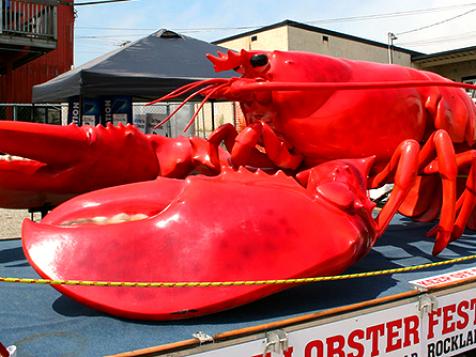 Chow Down on Maine's Best Lobster Rolls