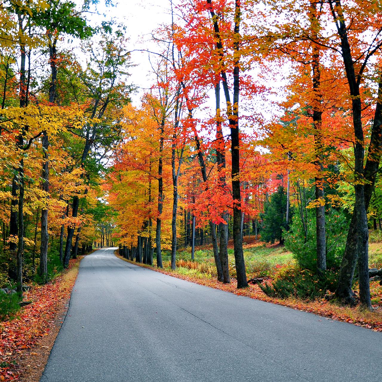 New England road trip: Where to see the most spectacular foliage this fall  - The Points Guy