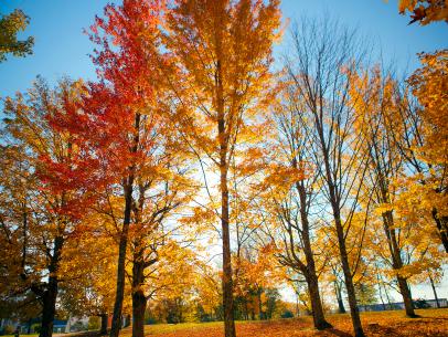 New England road trip: Where to see the most spectacular foliage this fall  - The Points Guy