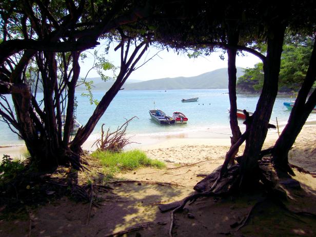 look from beach through shaded trees out into ocean with boats at the edge of the water during the day